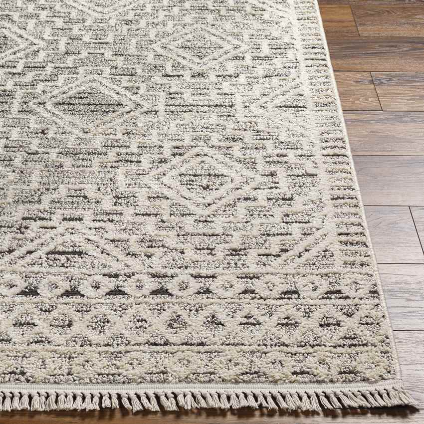 Circleville Global Charcoal Area Rug
