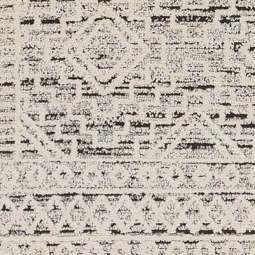 Circleville Global Charcoal Area Rug