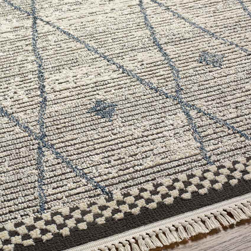 Coon Valley Global Charcoal Area Rug