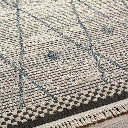 Coon Valley Global Charcoal Area Rug