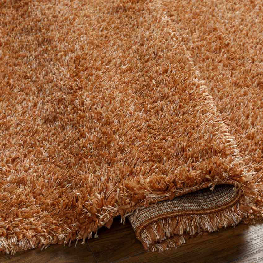 Elk River Modern Burnt Orange Area Rug