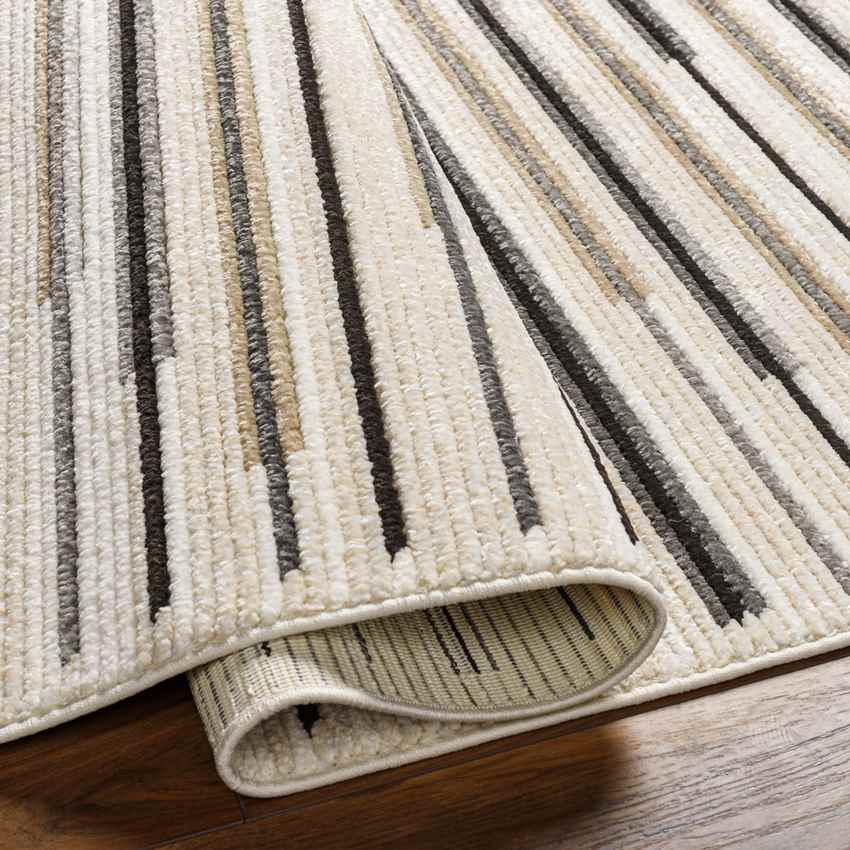Blandville Modern Charcoal Area Rug
