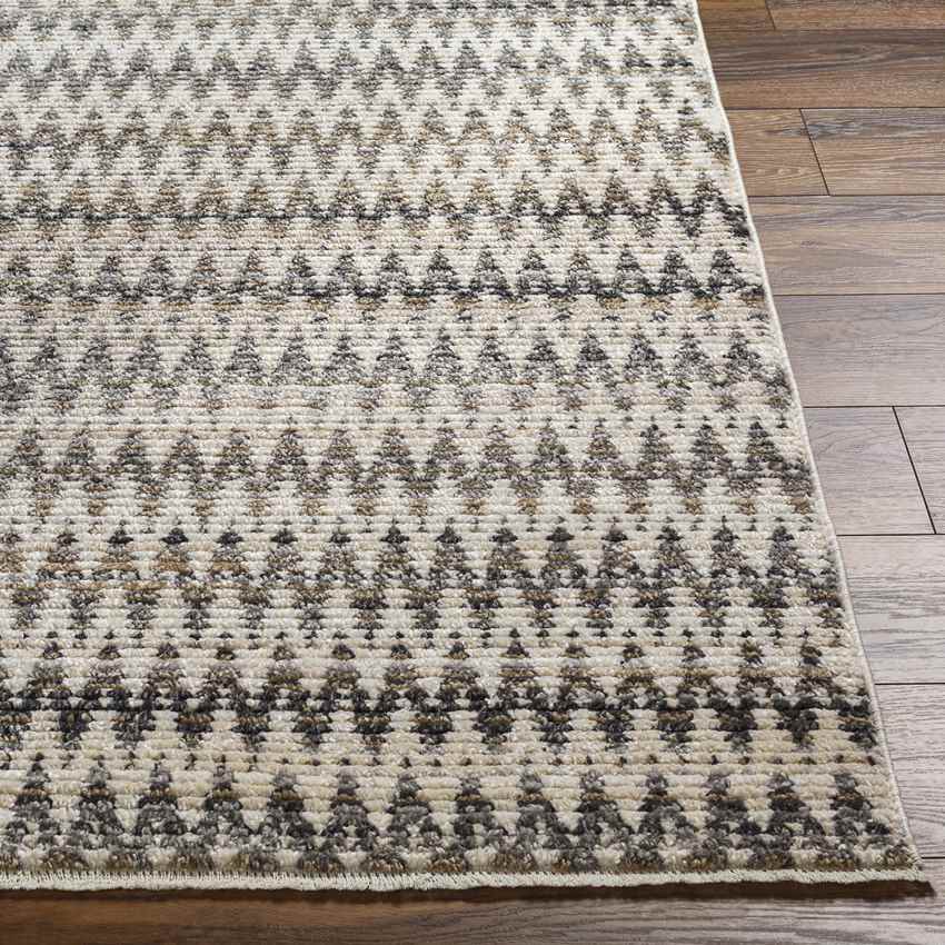 Bridgewater Modern Charcoal Area Rug
