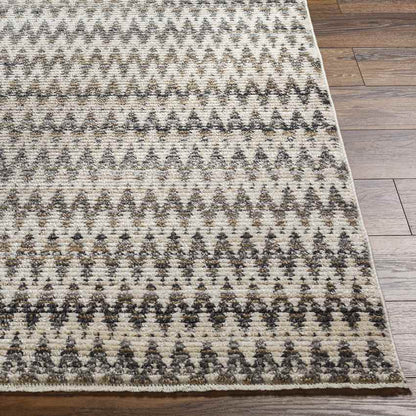 Bridgewater Modern Charcoal Area Rug
