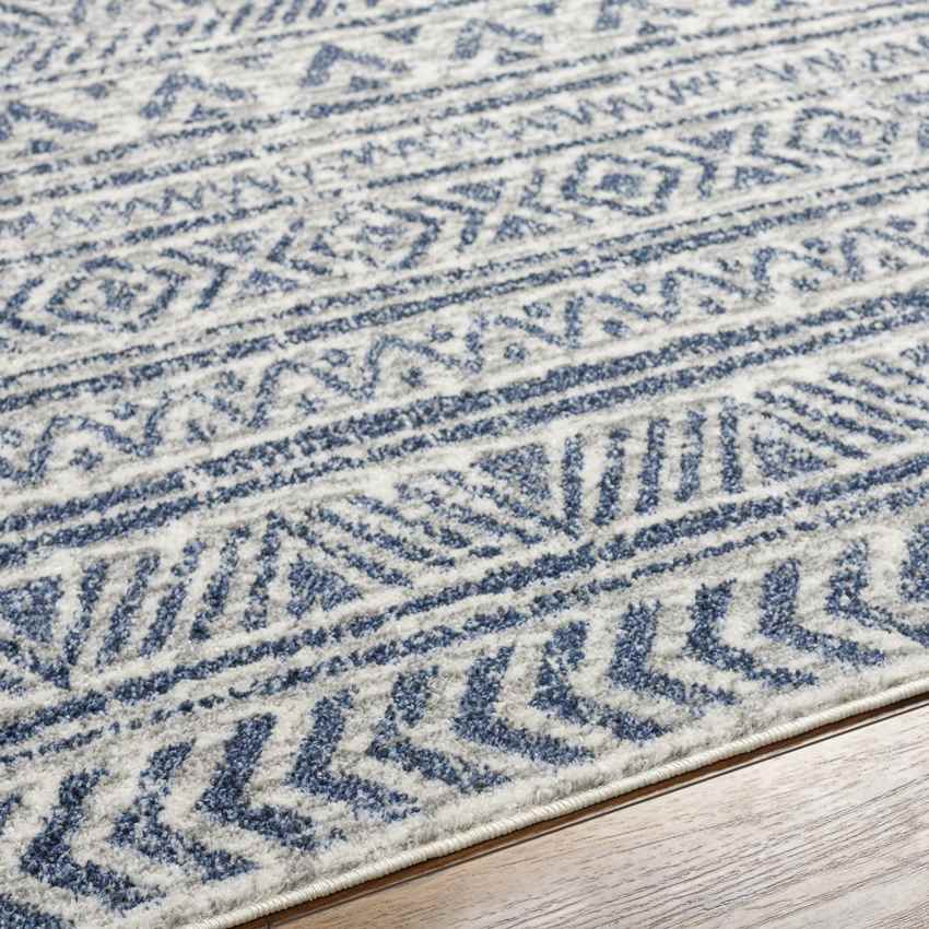 Coralville Global Dark Blue Area Rug