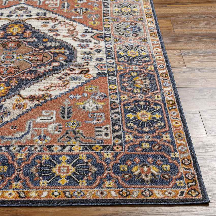 Druid Hills Traditional Burnt Orange Area Rug