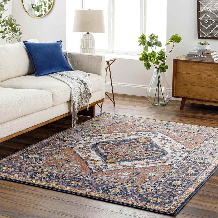 Druid Hills Traditional Burnt Orange Area Rug