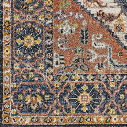 Druid Hills Traditional Burnt Orange Area Rug