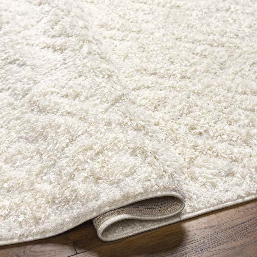 Hungerford Modern Light Gray Area Rug