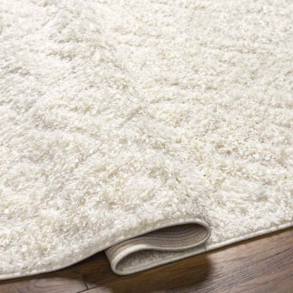 Hungerford Modern Light Gray Area Rug