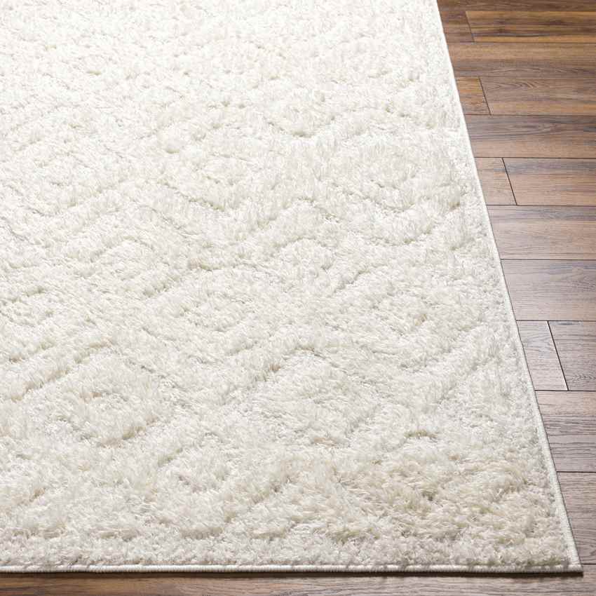 Hungerford Modern Light Gray Area Rug