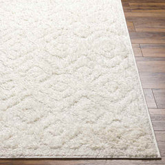 Hungerford Modern Light Gray Area Rug