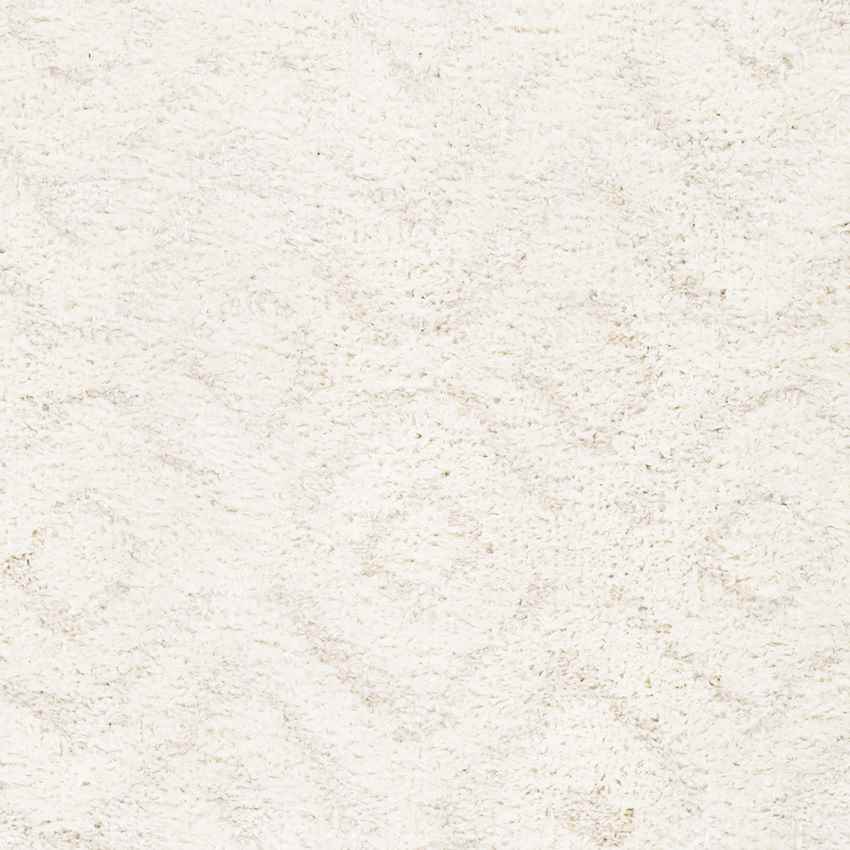 Hungerford Modern Light Gray Area Rug