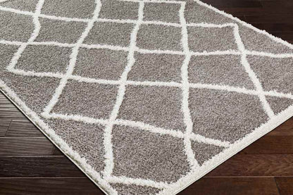 Jack Creek Modern Charcoal Area Rug