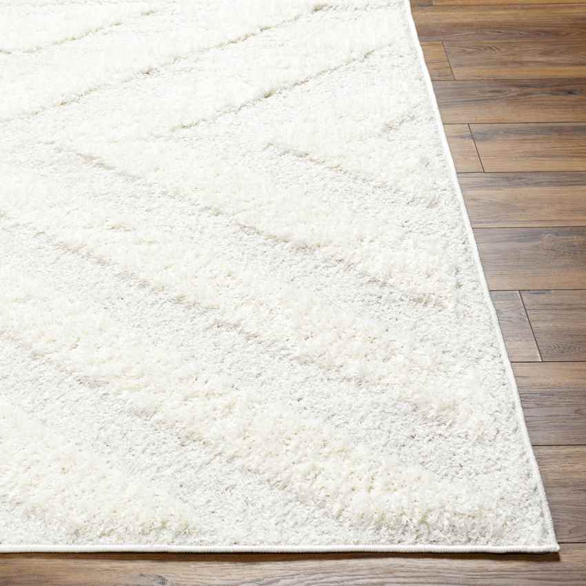 Kensington Modern Light Gray Area Rug