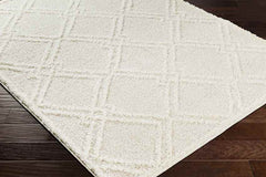 Lake Creek Modern Light Gray Area Rug