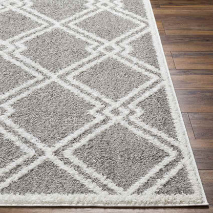Lake Creek Modern Gray Area Rug
