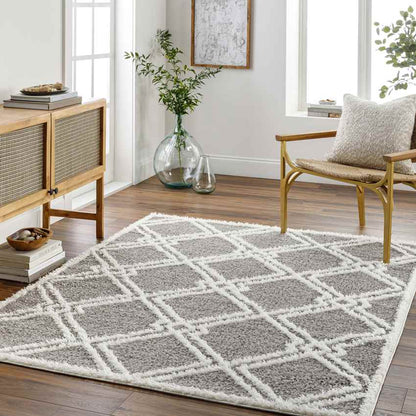 Lake Creek Modern Gray Area Rug