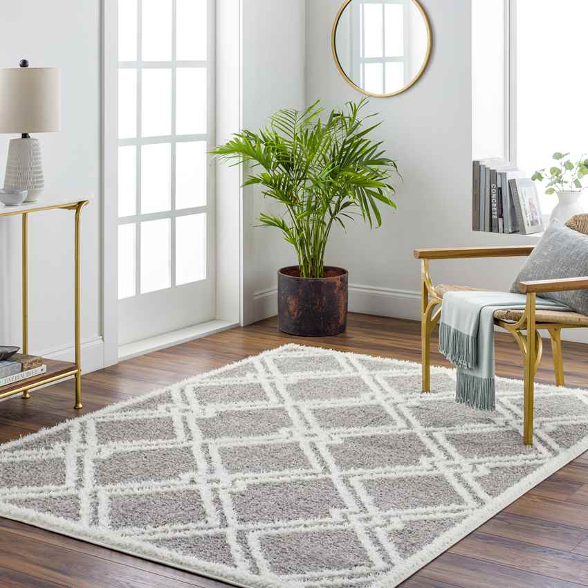 Lake Creek Modern Gray Area Rug