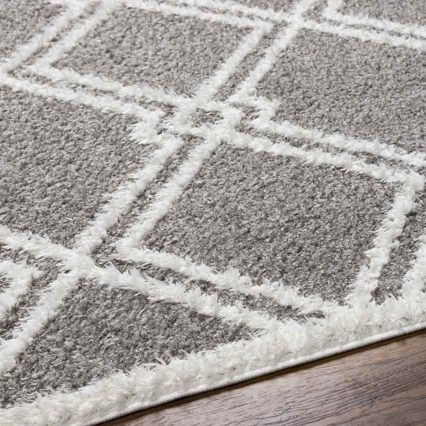Lake Creek Modern Gray Area Rug
