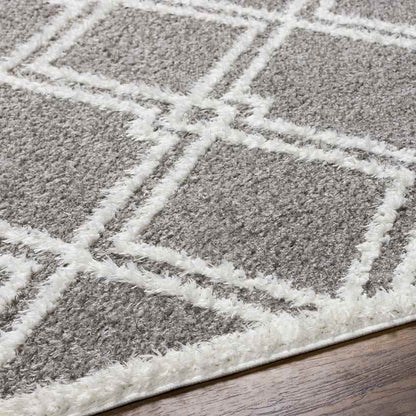Lake Creek Modern Gray Area Rug