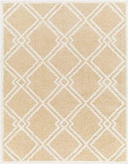 Lake Creek Modern Light Orange Area Rug