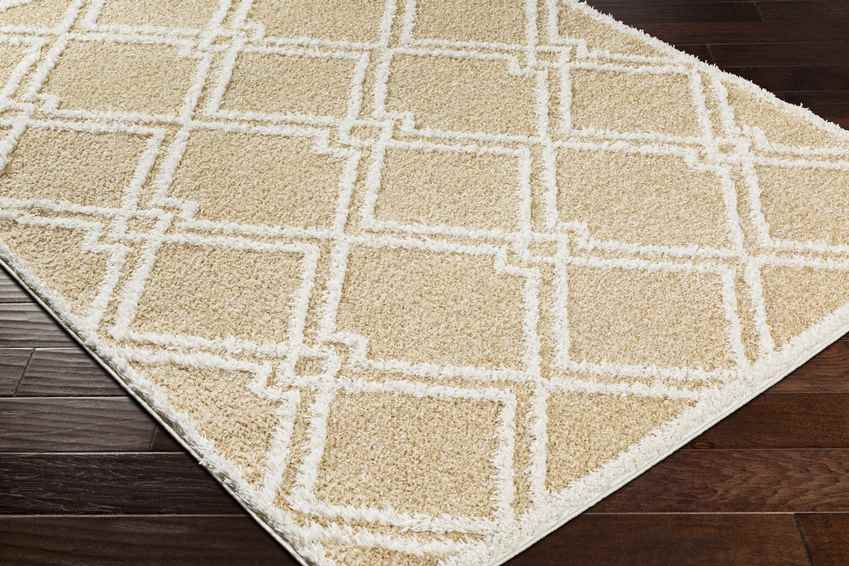 Lake Creek Modern Light Orange Area Rug