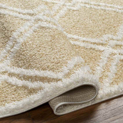 Lake Creek Modern Light Orange Area Rug