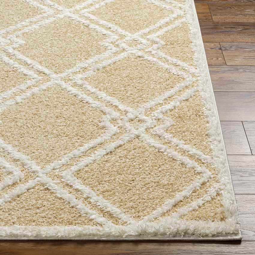 Lake Creek Modern Light Orange Area Rug