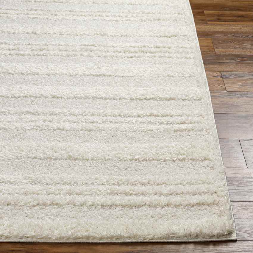 Leitchfield Modern Cream Area Rug