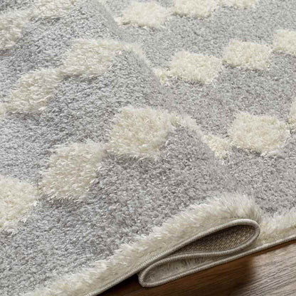 Lick Creek Modern Gray Area Rug