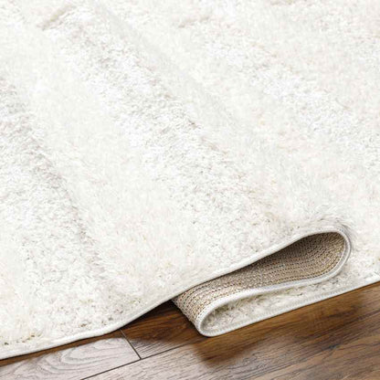 Lodomillo Modern Cream Area Rug