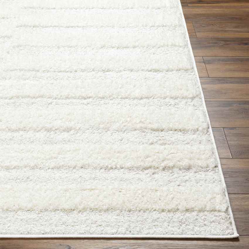 Lodomillo Modern Cream Area Rug