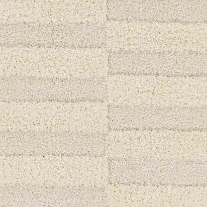 Lodomillo Modern Cream Area Rug
