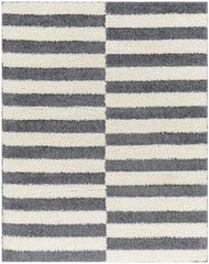 Lodomillo Modern Charcoal Area Rug