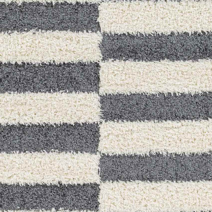 Lodomillo Modern Charcoal Area Rug