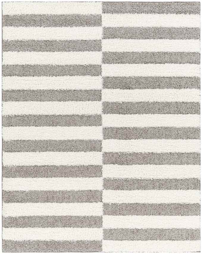 Lodomillo Modern Medium Gray Area Rug