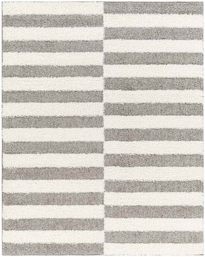 Lodomillo Modern Medium Gray Area Rug