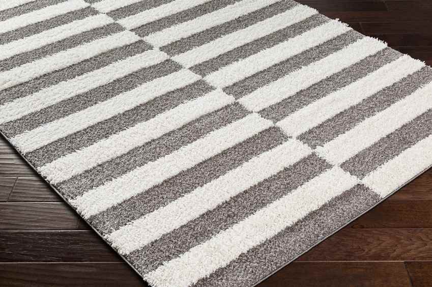 Lodomillo Modern Medium Gray Area Rug