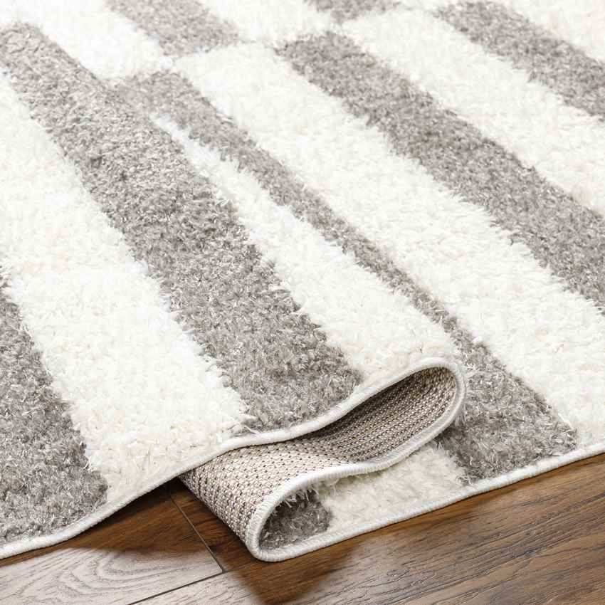 Lodomillo Modern Medium Gray Area Rug