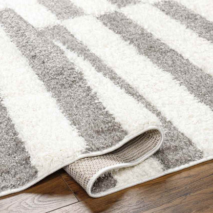 Lodomillo Modern Medium Gray Area Rug