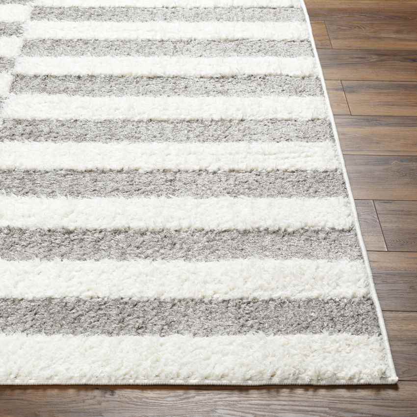 Lodomillo Modern Medium Gray Area Rug