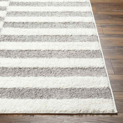 Lodomillo Modern Medium Gray Area Rug