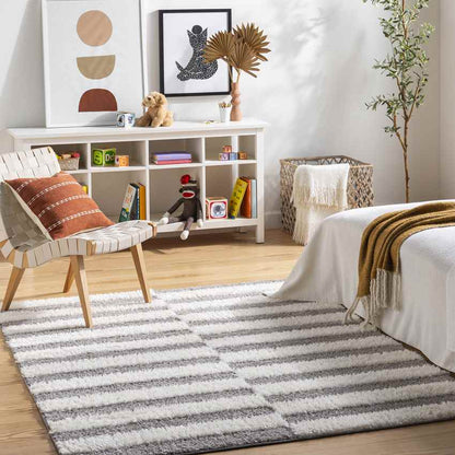 Lodomillo Modern Medium Gray Area Rug