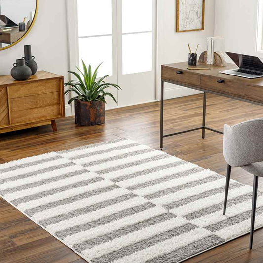 Lodomillo Modern Medium Gray Area Rug