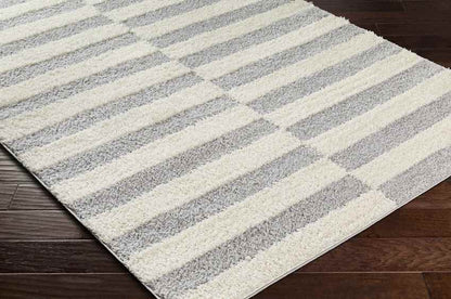 Lodomillo Modern Light Gray Area Rug