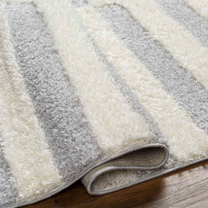Lodomillo Modern Light Gray Area Rug