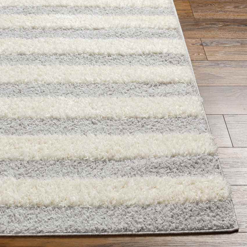 Lodomillo Modern Light Gray Area Rug