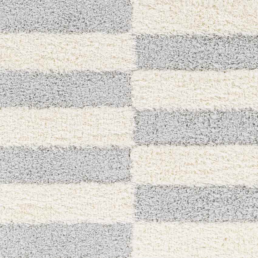Lodomillo Modern Light Gray Area Rug