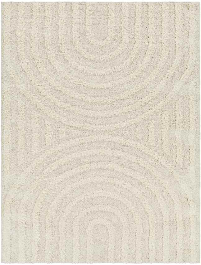 Long Island Modern Light Gray Area Rug
